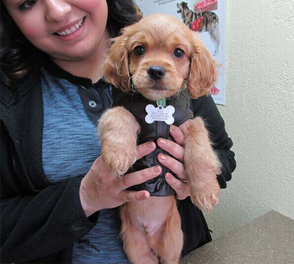 Alta Vista Staff Member with puppy
